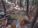 photo thumbnail #2
