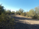 photo thumbnail #7