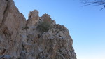 photo thumbnail #13