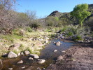 photo thumbnail #5