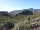 photo thumbnail #7