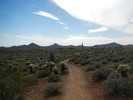 photo thumbnail #11