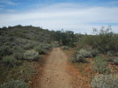 photo thumbnail #14