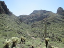 photo thumbnail #14