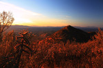 photo thumbnail #2