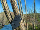 photo thumbnail #3