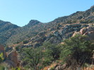 photo thumbnail #6