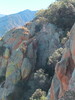 photo thumbnail #12