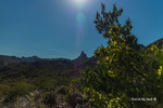 photo thumbnail #2