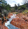 photo thumbnail #6