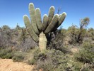 photo thumbnail #6