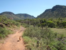 photo thumbnail #3