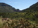 photo thumbnail #6