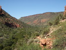 photo thumbnail #12