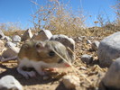 photo thumbnail #7