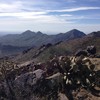 photo thumbnail #2