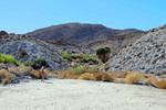 photo thumbnail #2