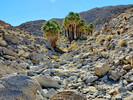 photo thumbnail #3
