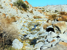 photo thumbnail #11