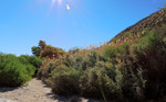 photo thumbnail #8