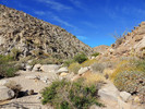 photo thumbnail #9