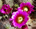 photo thumbnail #1