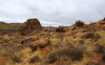 photo thumbnail #5