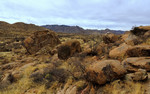 photo thumbnail #6