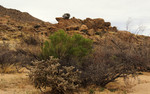 photo thumbnail #10