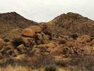 photo thumbnail #12
