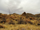 photo thumbnail #15