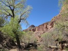 photo thumbnail #15