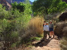 photo thumbnail #12
