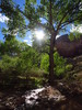 photo thumbnail #15