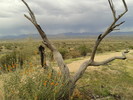 photo thumbnail #7