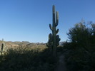 photo thumbnail #1