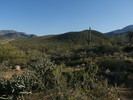 photo thumbnail #4