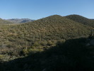 photo thumbnail #8