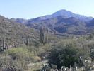 photo thumbnail #9