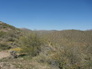photo thumbnail #12