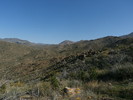 photo thumbnail #14