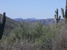 photo thumbnail #15