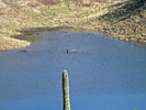 photo thumbnail #13