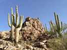 photo thumbnail #8