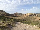 photo thumbnail #10