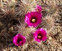 photo thumbnail #14