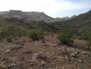photo thumbnail #15