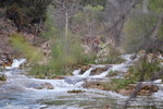 photo thumbnail #7