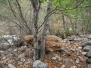 photo thumbnail #10