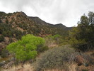 photo thumbnail #11